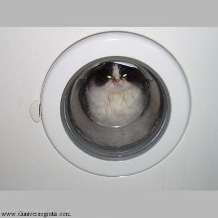 CHAT A LAVER